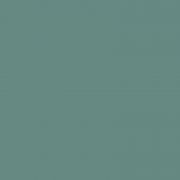 1201 Brildor - RGB Farbe 102, 138, 129