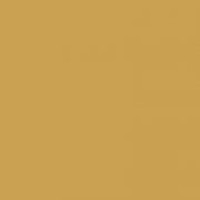 2612 Brildor - RGB Farbe 202, 161, 82