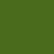 2538 Brildor - RGB Farbe 73, 107, 25