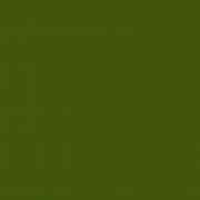 1934 Brildor - RGB Farbe 64, 87, 10