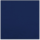 Gästetuch 30x30cm / The One Towelling T1-30X30
