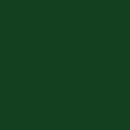 1326 Brildor - RGB Farbe 19, 65, 31