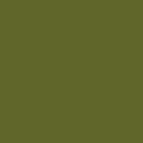 1173 Brildor - RGB Farbe 95, 102, 41