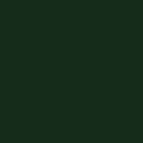 1207 Brildor - RGB Farbe 21, 43, 26