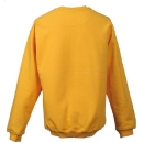 Sweatshirt Kinder bis Gr.2XL (158/164) / James &...
