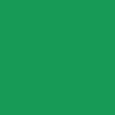 1710 Brildor - RGB Farbe 24, 154, 83