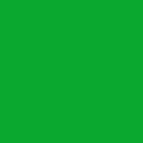 1613 Brildor - RGB Farbe 10, 168, 47