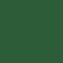 2511 Brildor - RGB Farbe 44, 92, 58