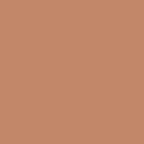 1255 Brildor - RGB Farbe 195, 135, 106