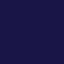 1602 Brildor - RGB Farbe 25, 21, 71