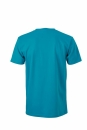 Herren Rundhals-T-Shirt Baumwolle bis Gr.2XL / James & Nicholson