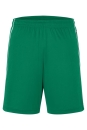 Team-Sport-Shorts Erwachsene bis Gr.2XL / James &...