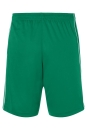 Team-Sport-Shorts / James & Nicholson JN387