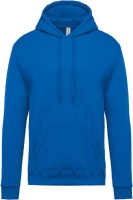 Light Royal Blue