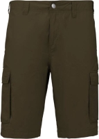 Light Khaki