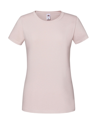 Powder Rose