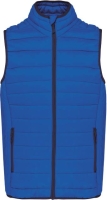 Light Royal Blue