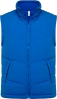 Light Royal Blue