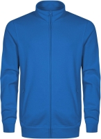 Cobalt Blue
